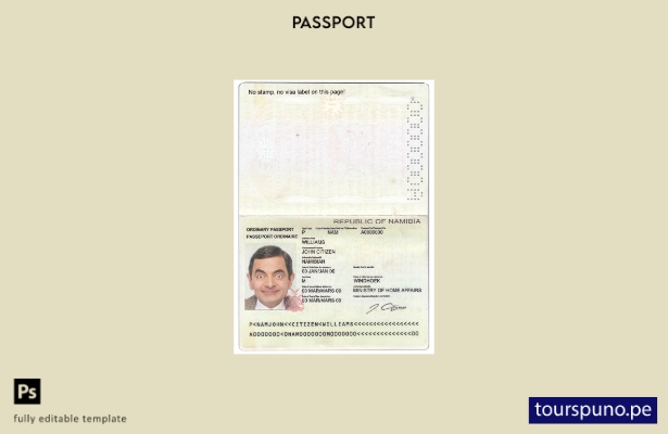 Plantilla de pasaporte de Namibia lista para imprimir